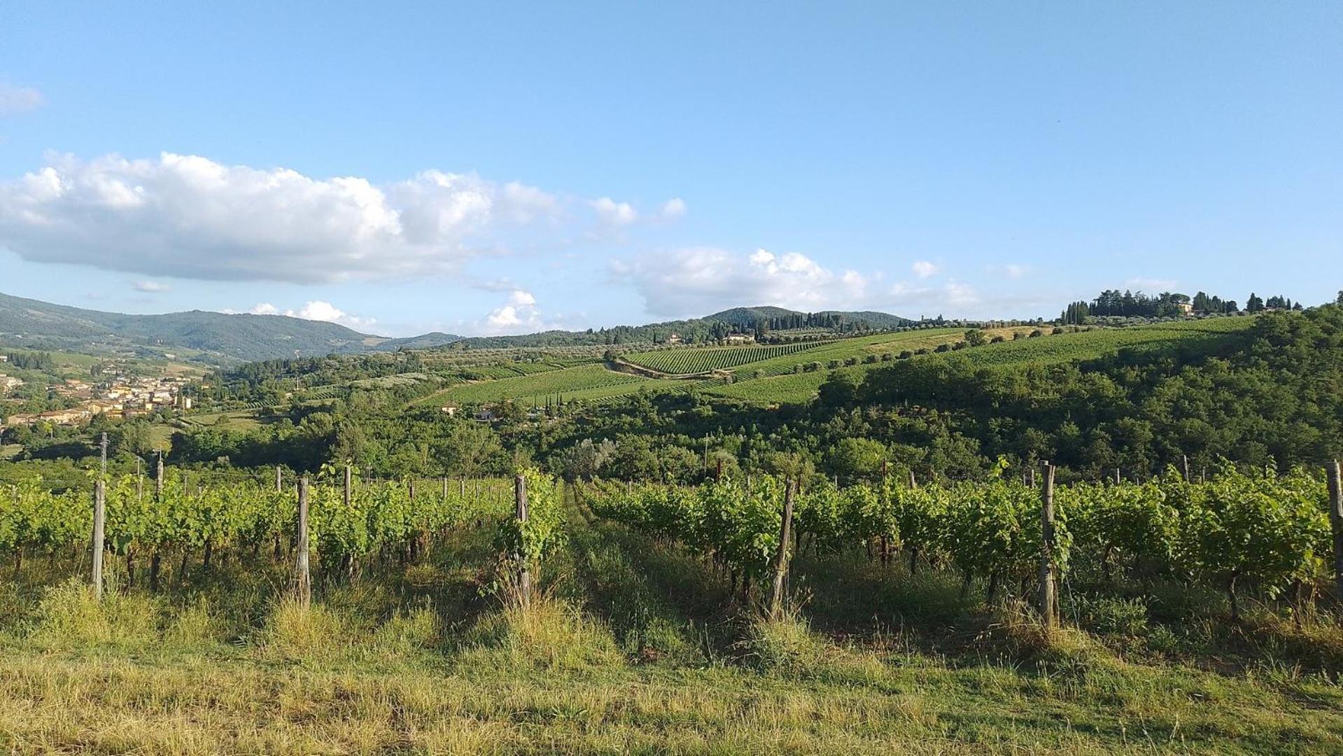 La Turra - Casa Di Campagna Greve in Chianti Extérieur photo