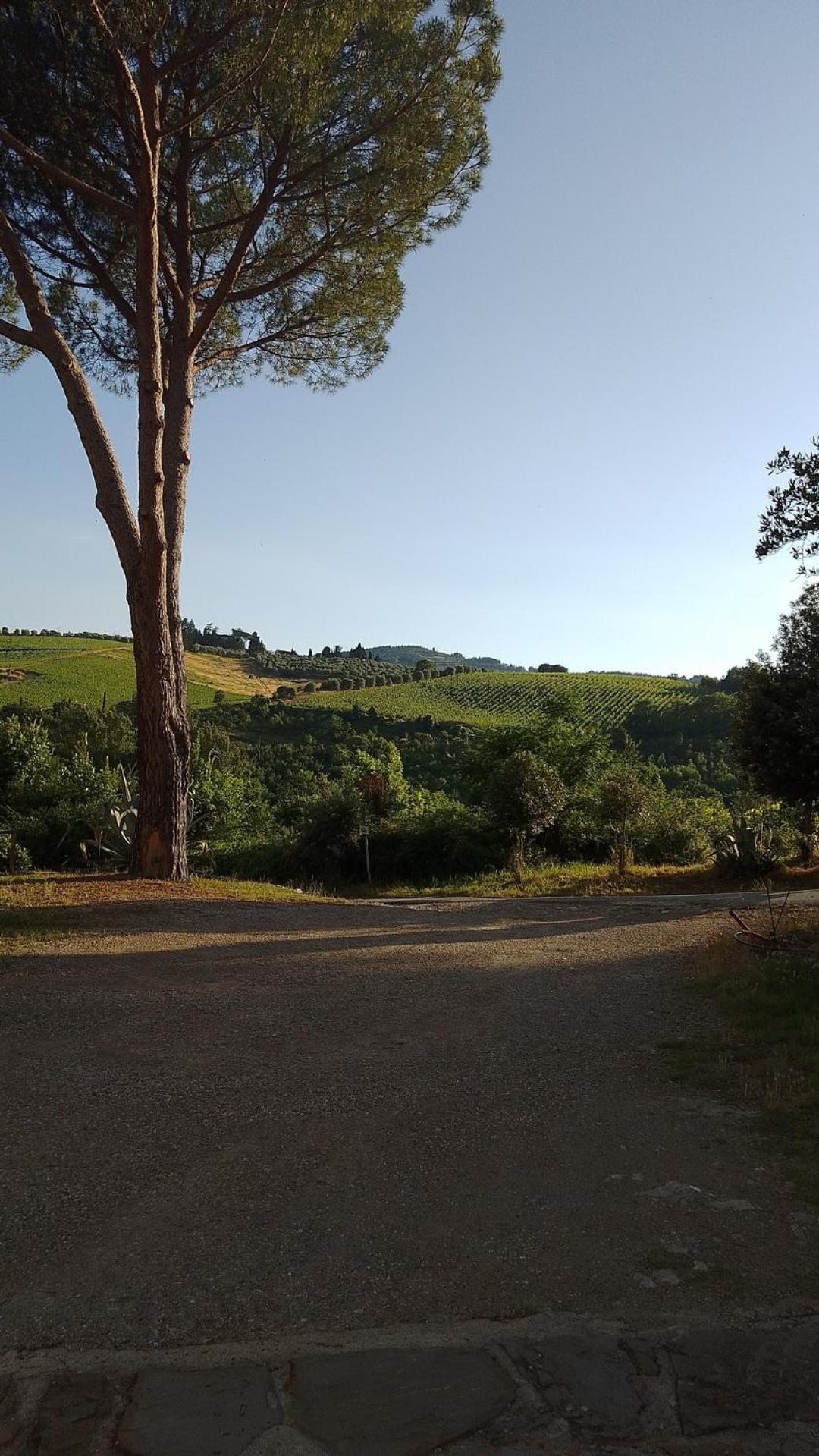La Turra - Casa Di Campagna Greve in Chianti Extérieur photo